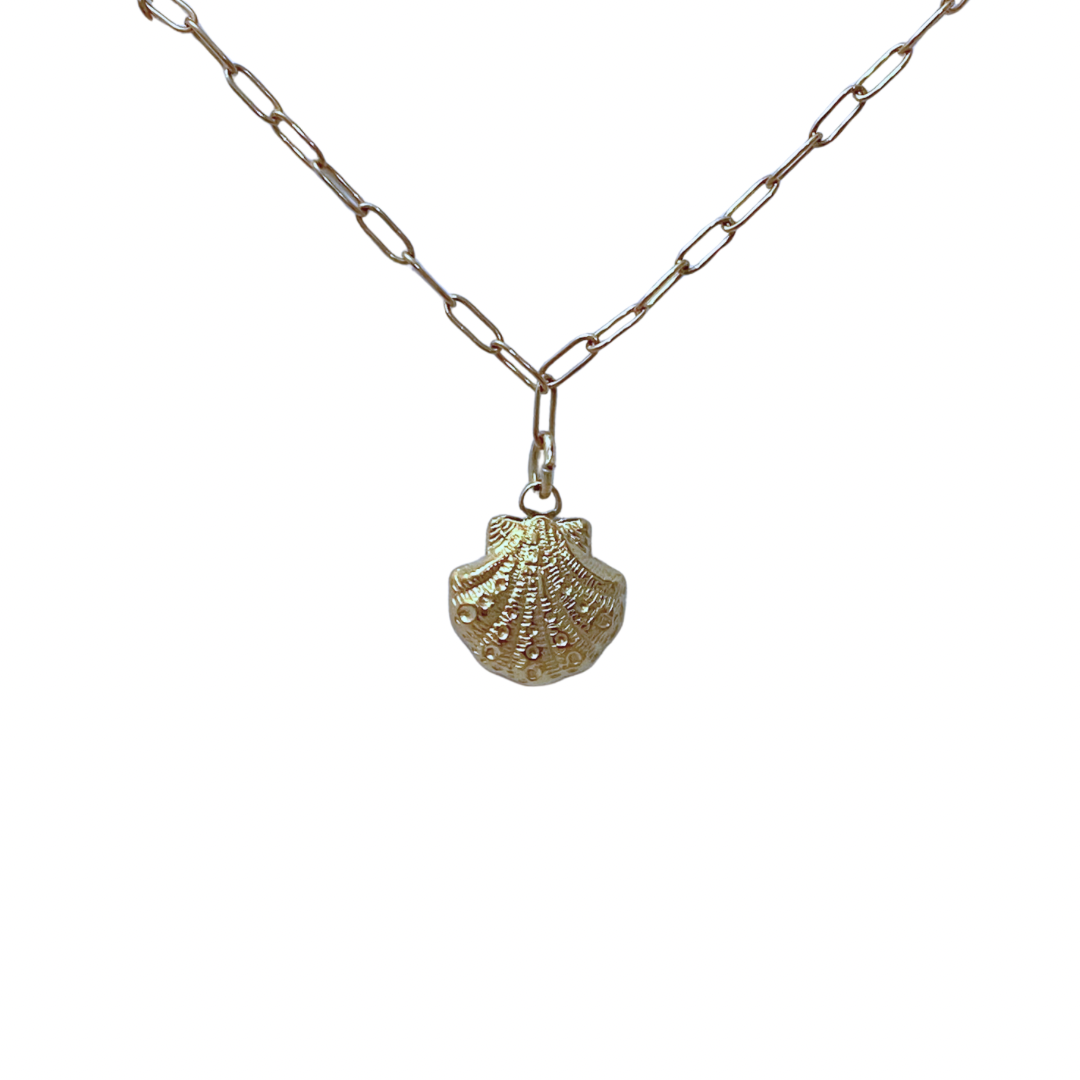 Seashell Necklace