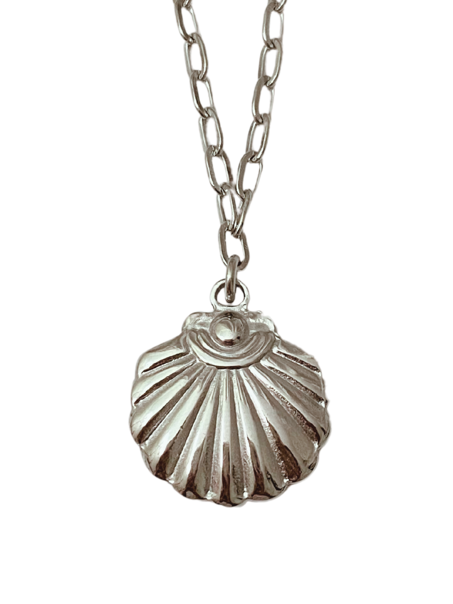 Silver Shell Necklace