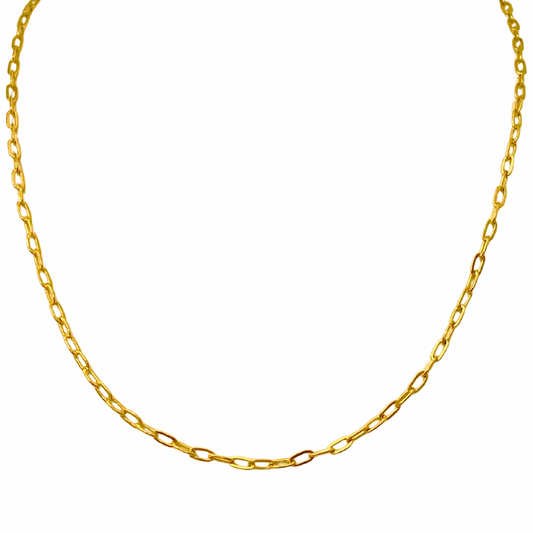 Essential Cable Chain Necklace